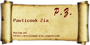 Pavlicsek Zia névjegykártya